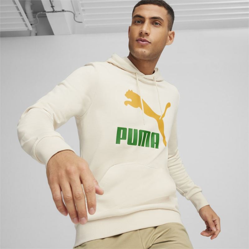 Puma | Men's Classics Logo Hoodie - Alpine Snow