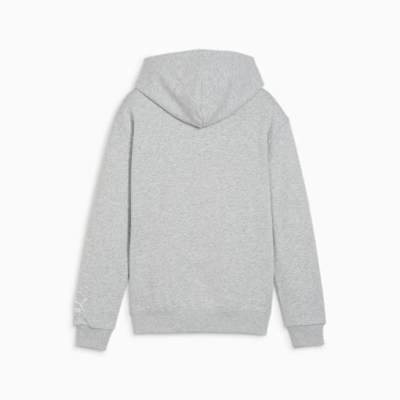 Puma | Boys FOR THE FANBASE Big Kids Hoodie - Light Gray Heather